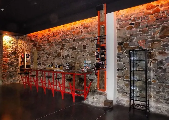 毕尔巴鄂波希特尔 - 高级旅舍 毕尔巴鄂